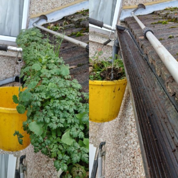 Read more about the article Guide to Choosing the Best Gutter Cleaning Services