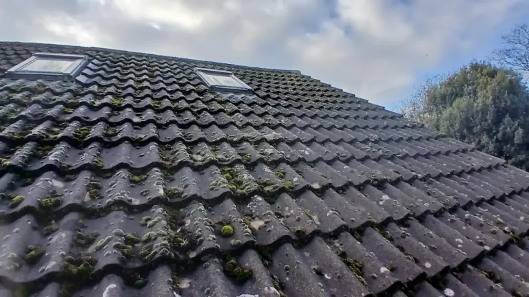 Heavy moss growth between roof tiles on a residential property in London.