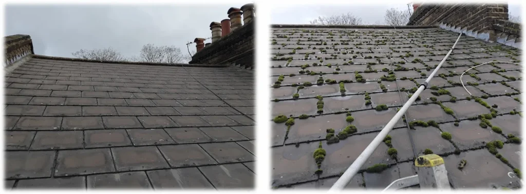 Before and after manual roof moss removal in South and South East London