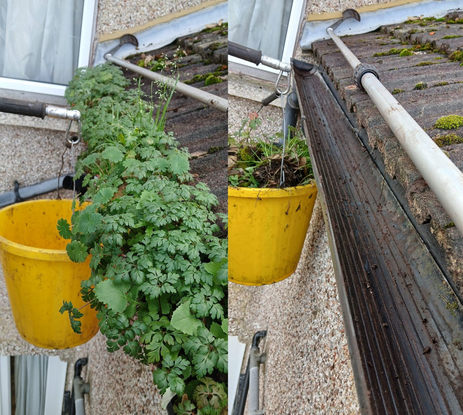 Before and after gutter cleaning result South & South East London