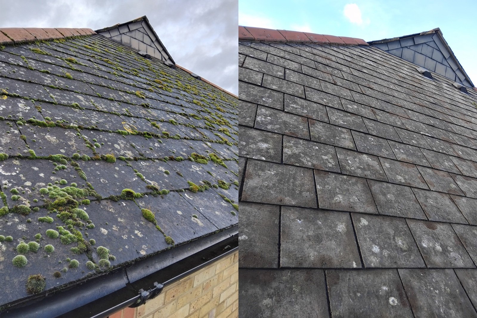 Before and after roof cleaning