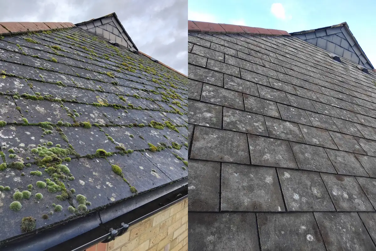 roof cleaning before and after South East London