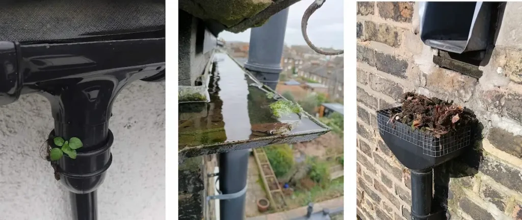Common gutter blockage problems including standing water and blocked downpipes