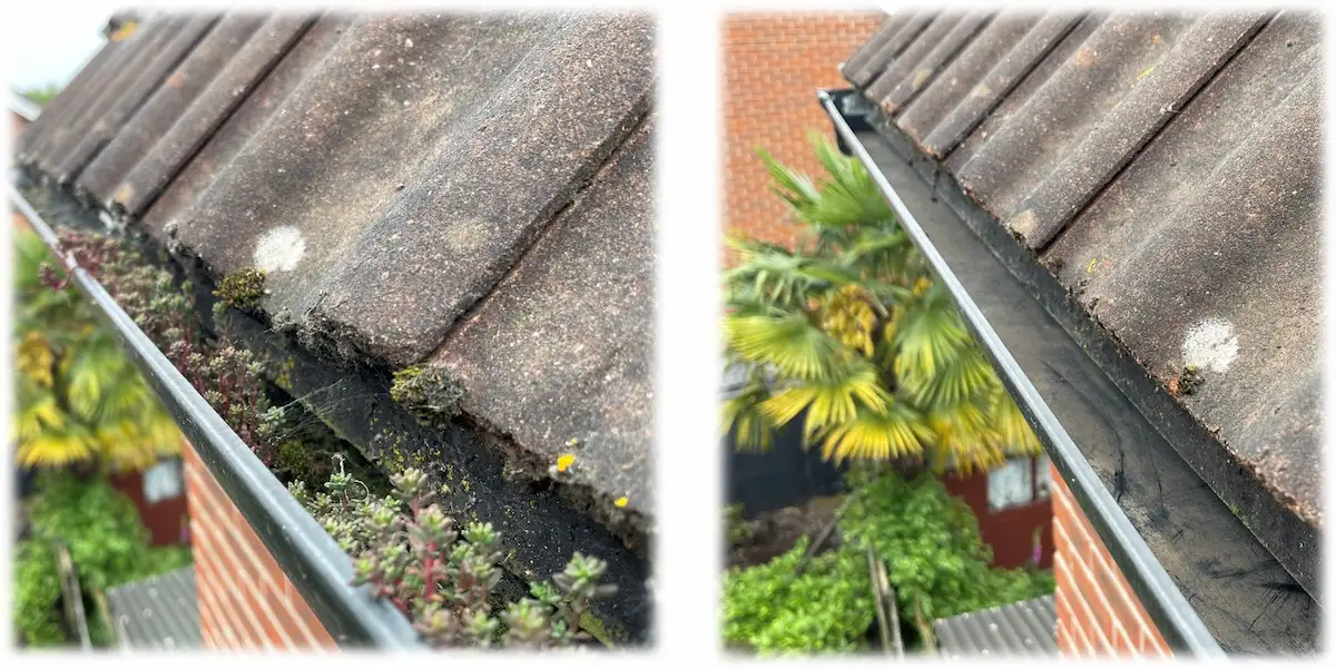 Before and after professional gutter cleaning in South East London