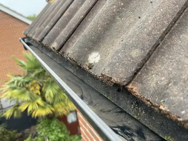 professional gutter cleaning in South & South East London