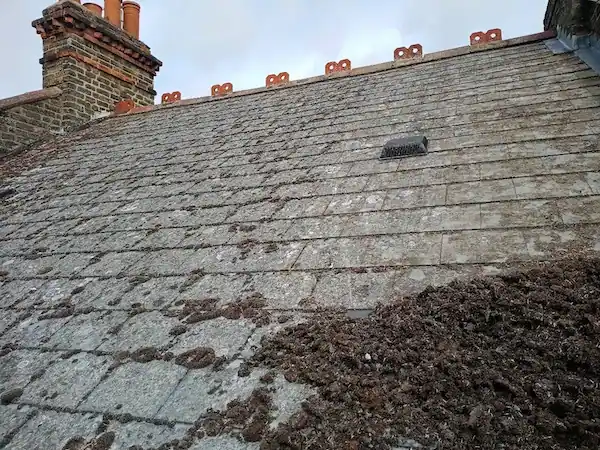 Moss-covered roof before manual roof cleaning in South & South East London